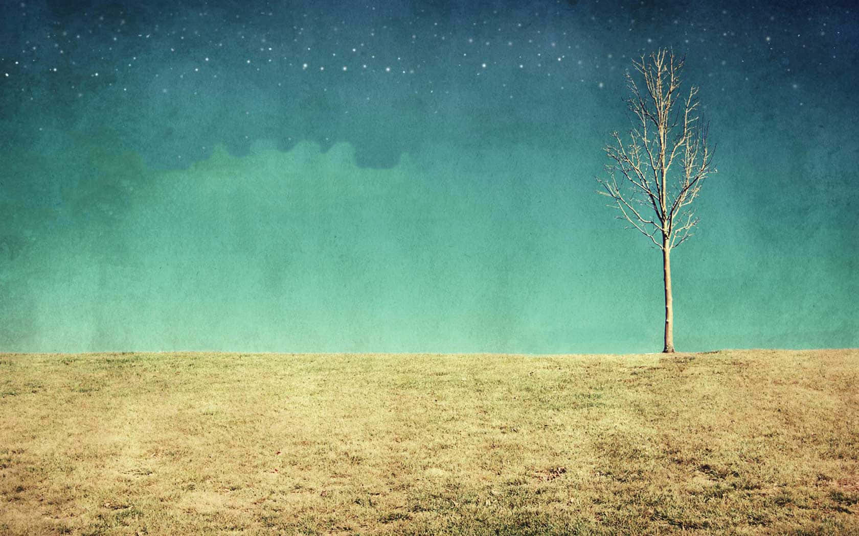 Eineinzelner Baum Auf Einem Feld Mit Einem Blauen Himmel