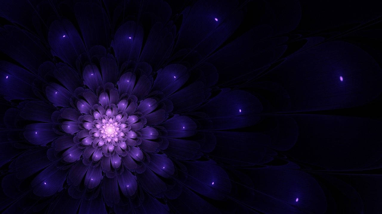 A Purple Flower With Lights On It Wallpaper
