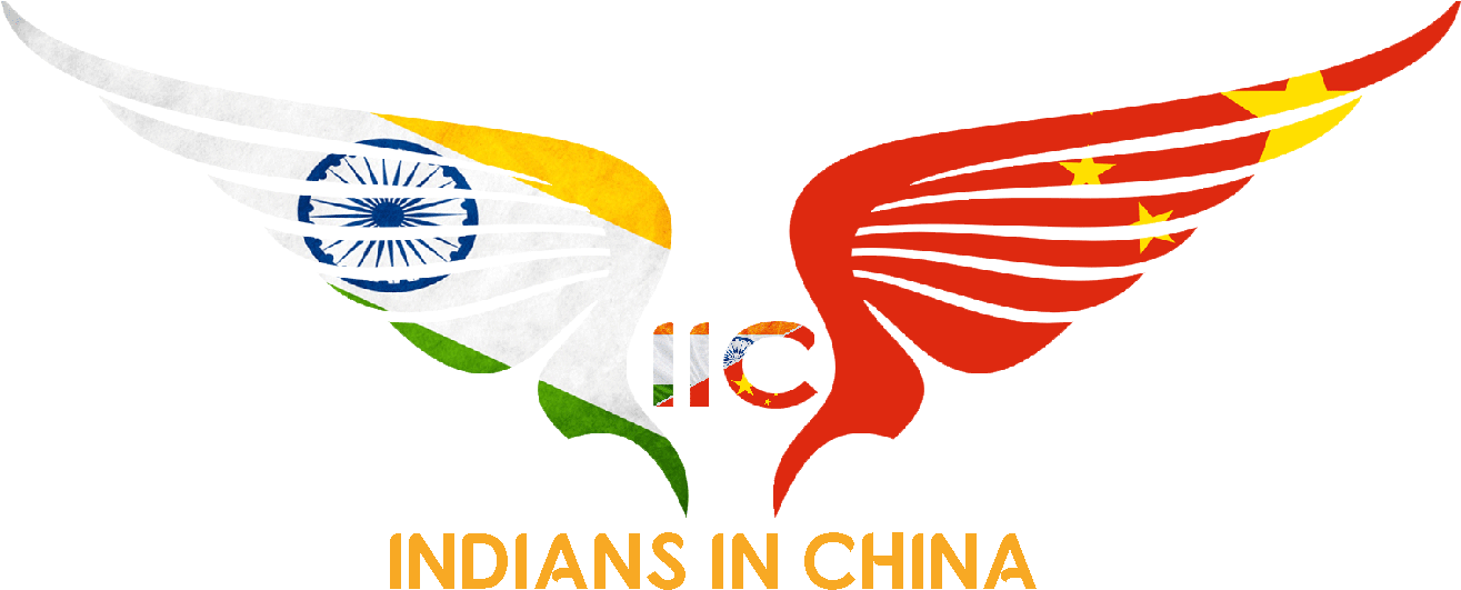 Indo China Friendship Wings Logo PNG