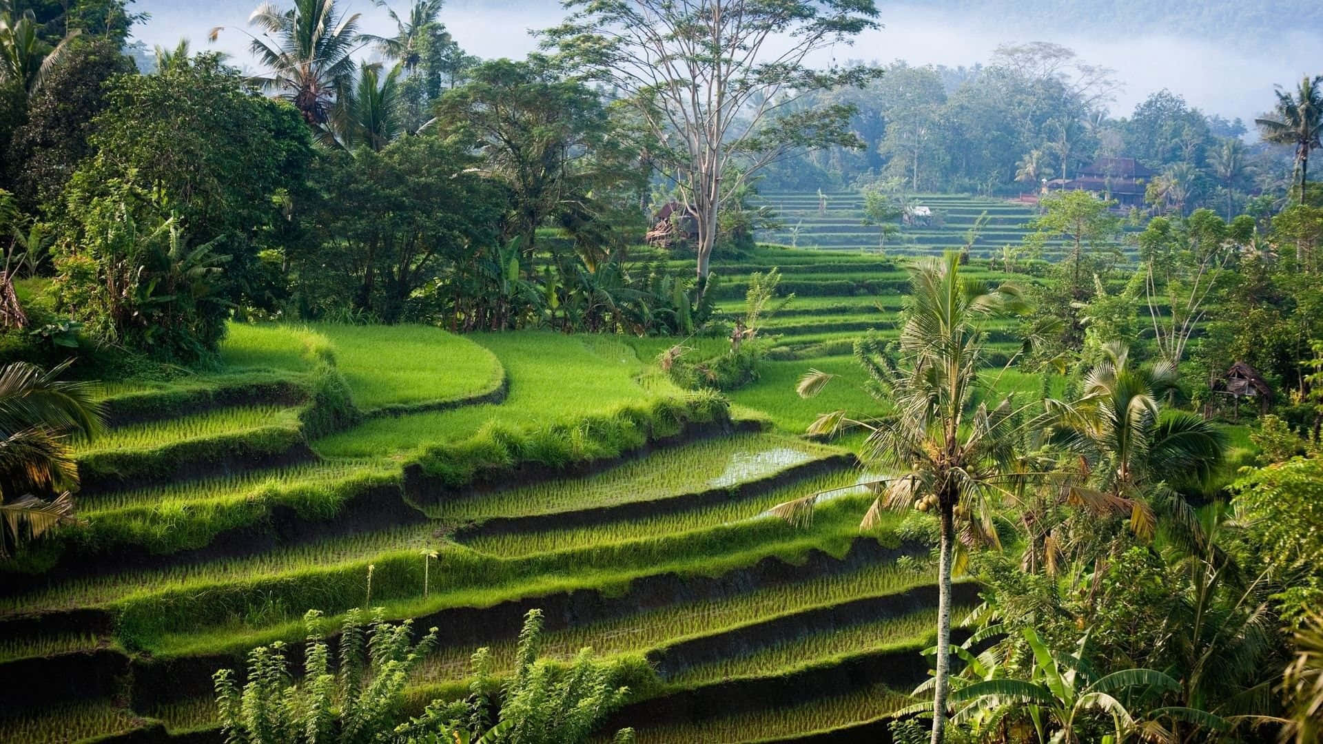 Majestic View Of Indonesia's Landscape