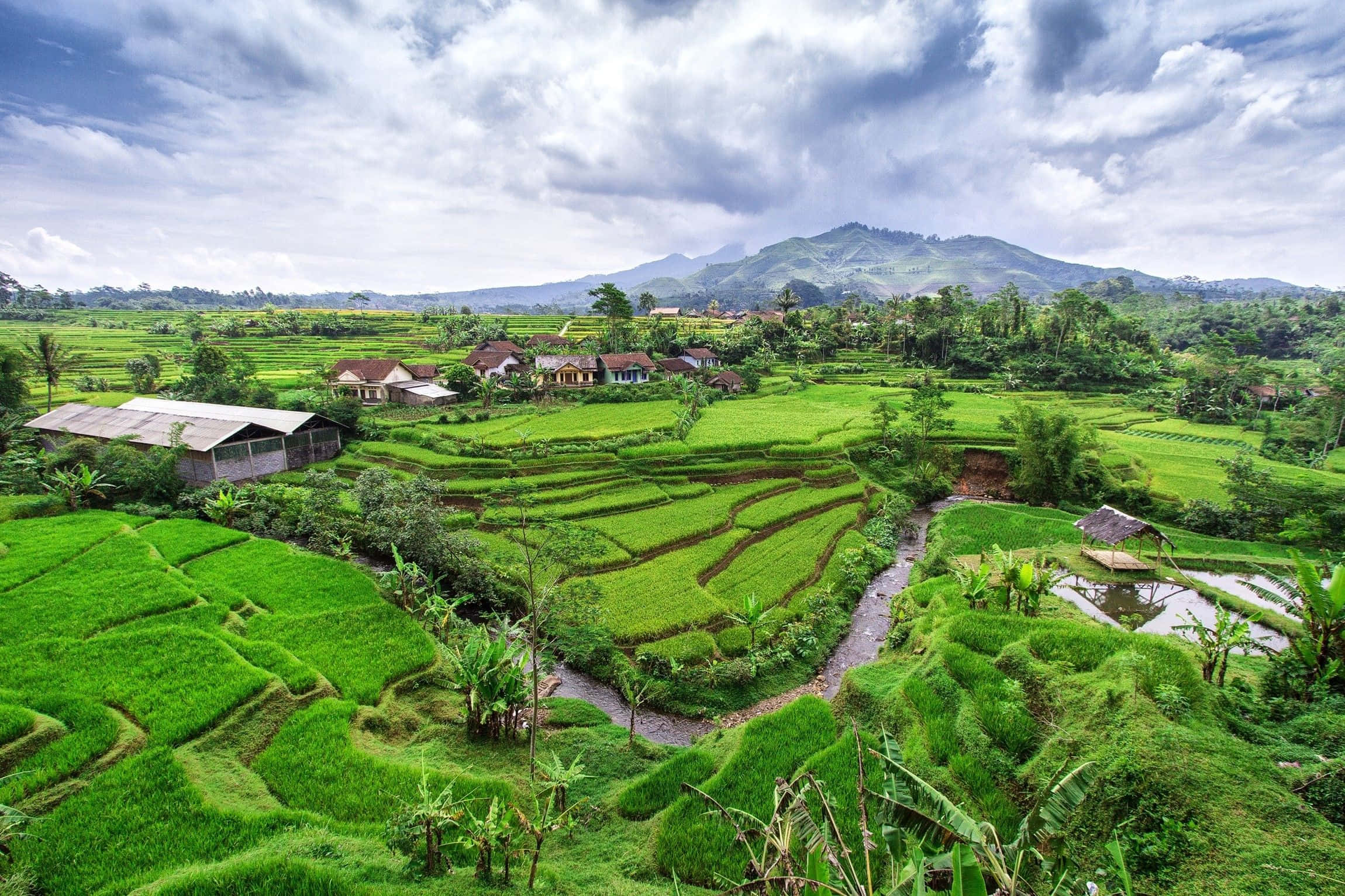 Genießedie Schönheit Des Tropischen Paradieses Indonesiens.