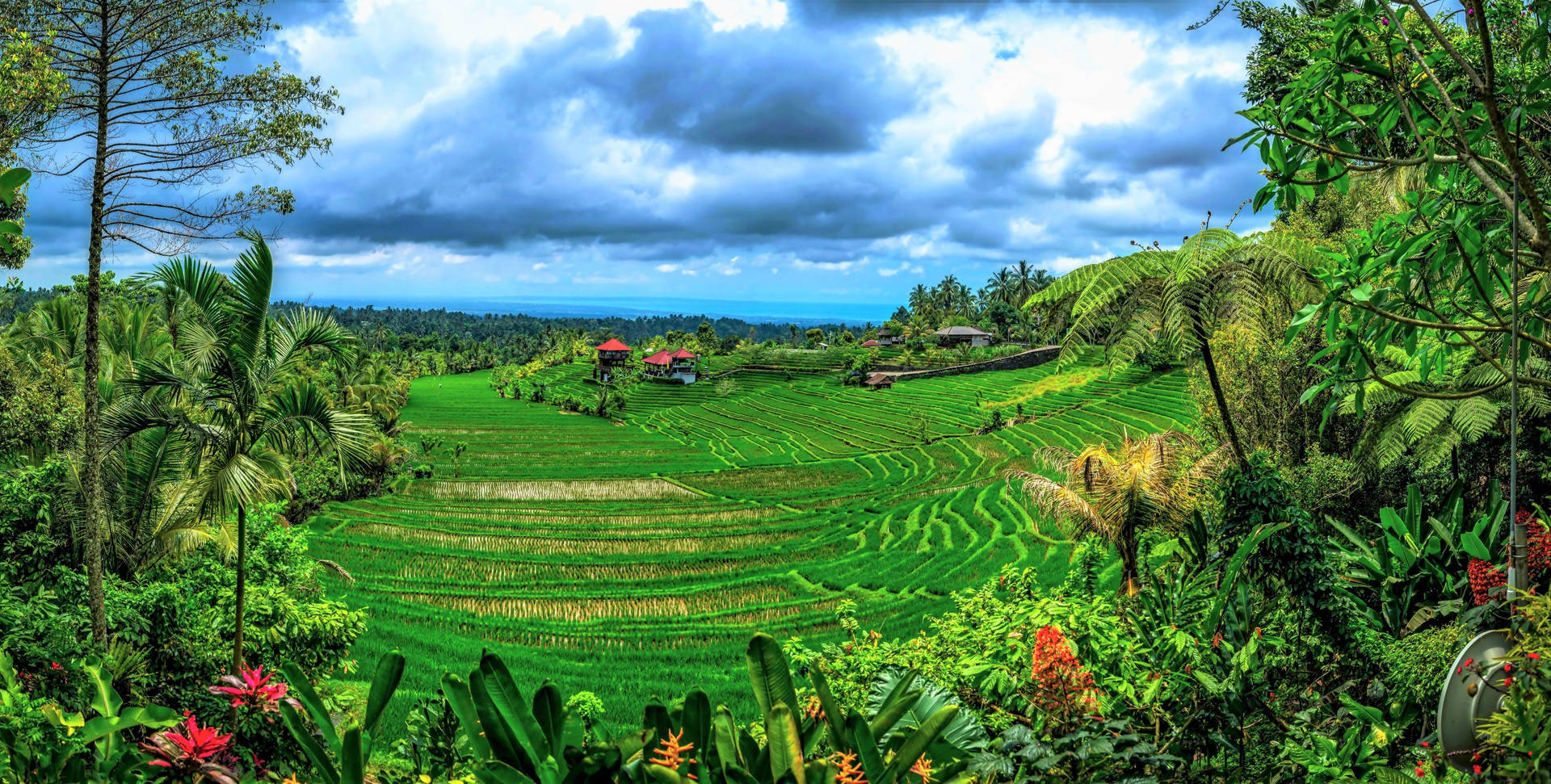 Indonesia Farm Land Wallpaper