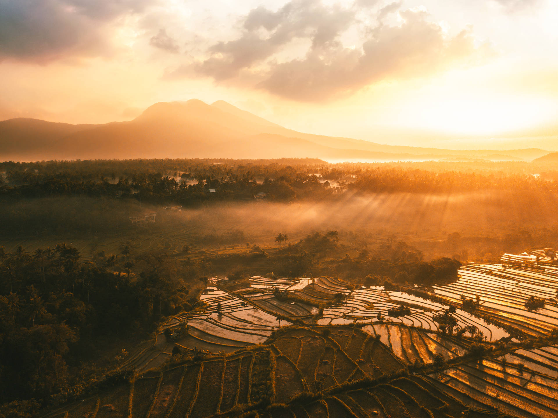 Indonesia Sun Rise Farms Wallpaper
