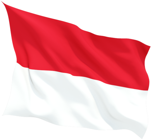 Indonesian Flag Waving PNG