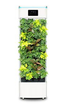 Indoor Hydroponic Vertical Garden System PNG