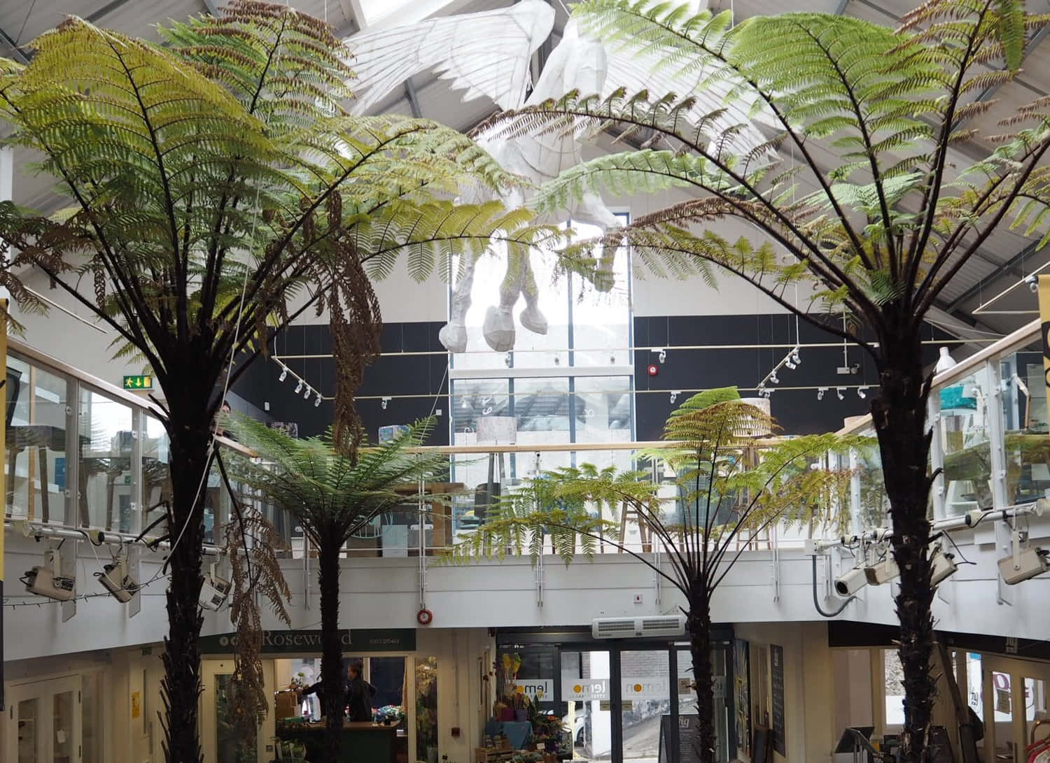 Indoor Mallwith Ferns Truro U K Wallpaper