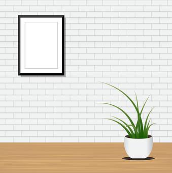 Indoor Plant White Wall Decor PNG