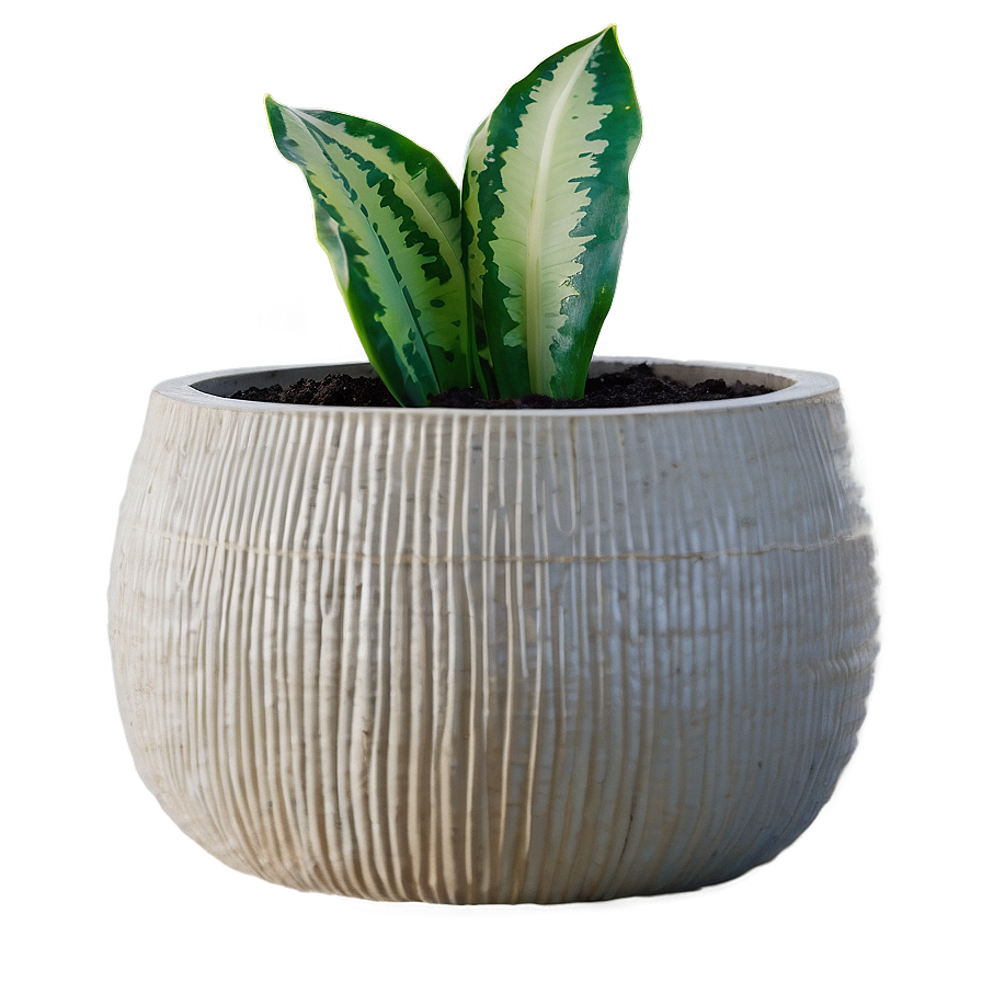 Indoor Planter Png Uxm PNG