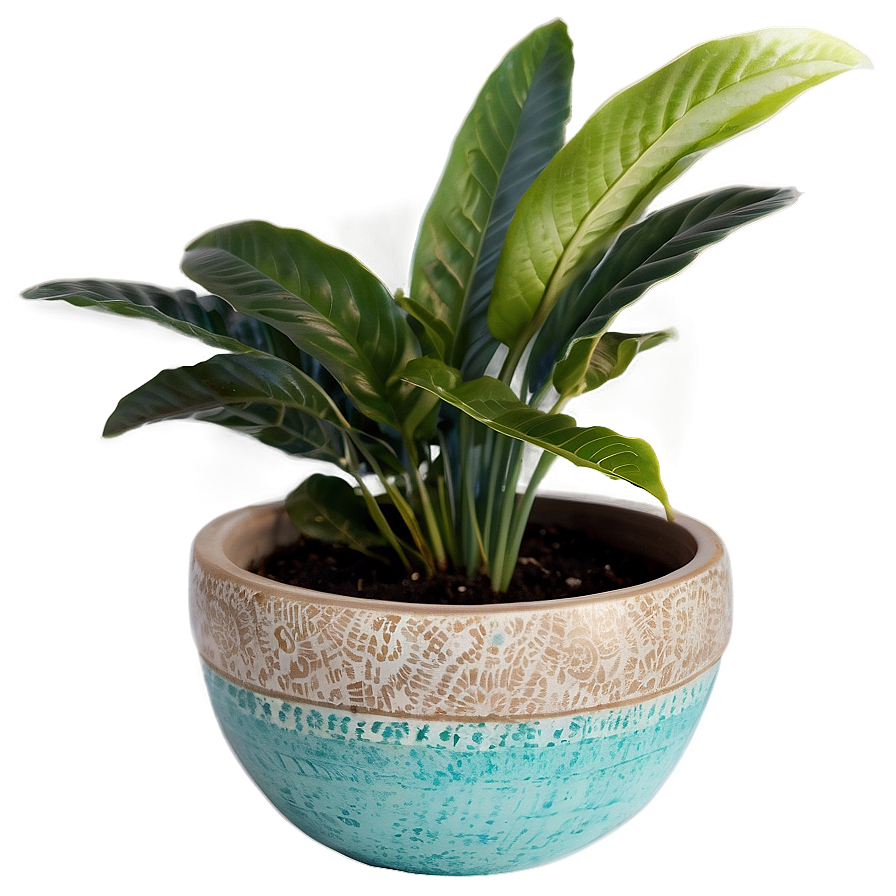 Indoor Pottery Planters Png 79 PNG