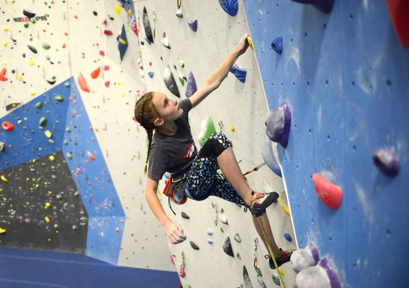 Ascending to Victory: An Adventure in Indoor Sport Climbing Wallpaper