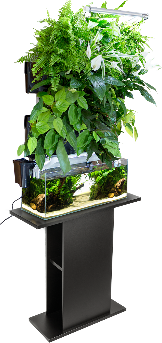 Indoor Vertical Garden Aquaponics System PNG