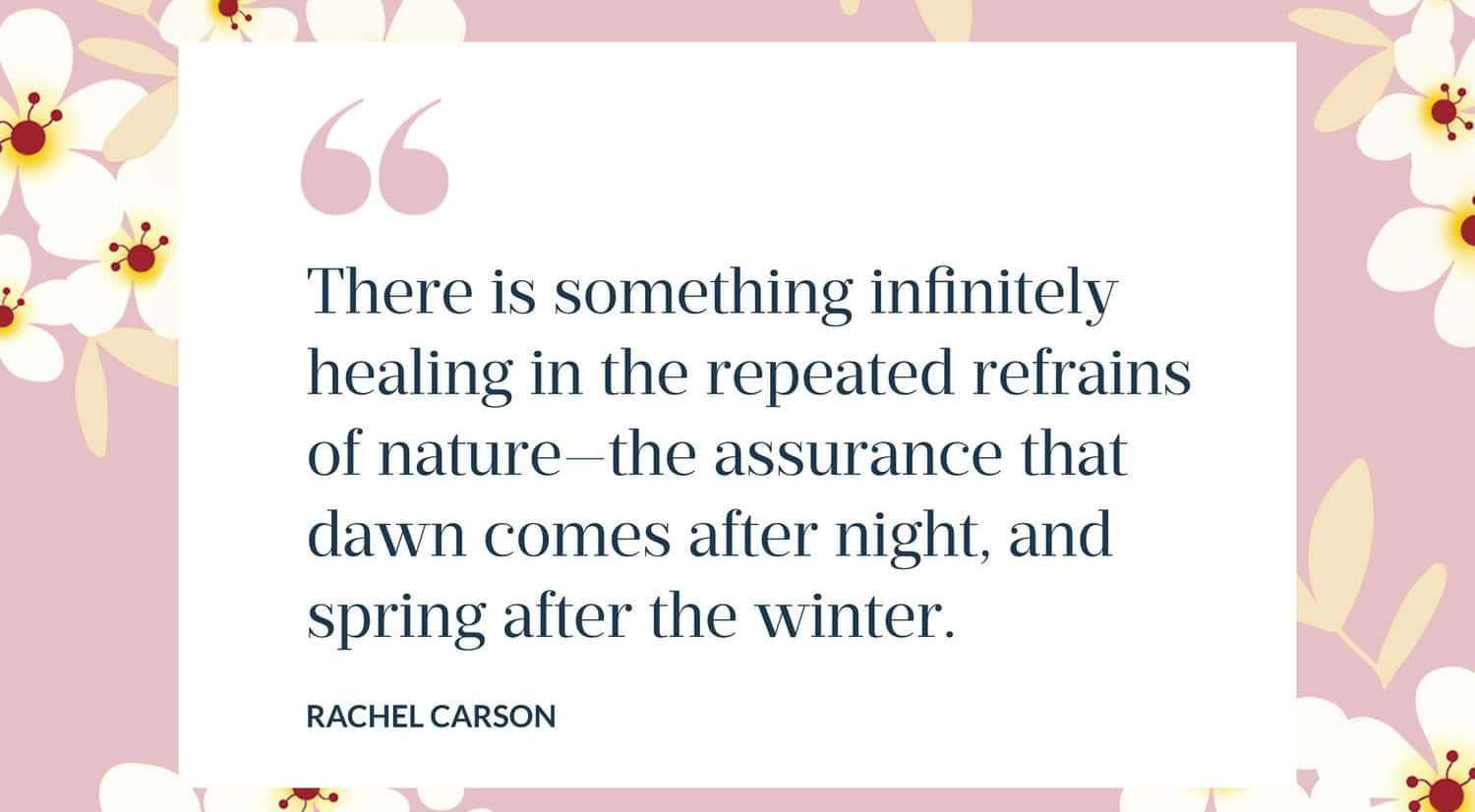 Infinite Healing Nature Quote_ Rachel Carson Wallpaper