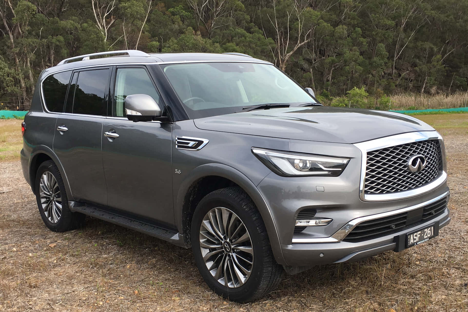 The Luxurious Infiniti QX80 SUV in its Glory Wallpaper