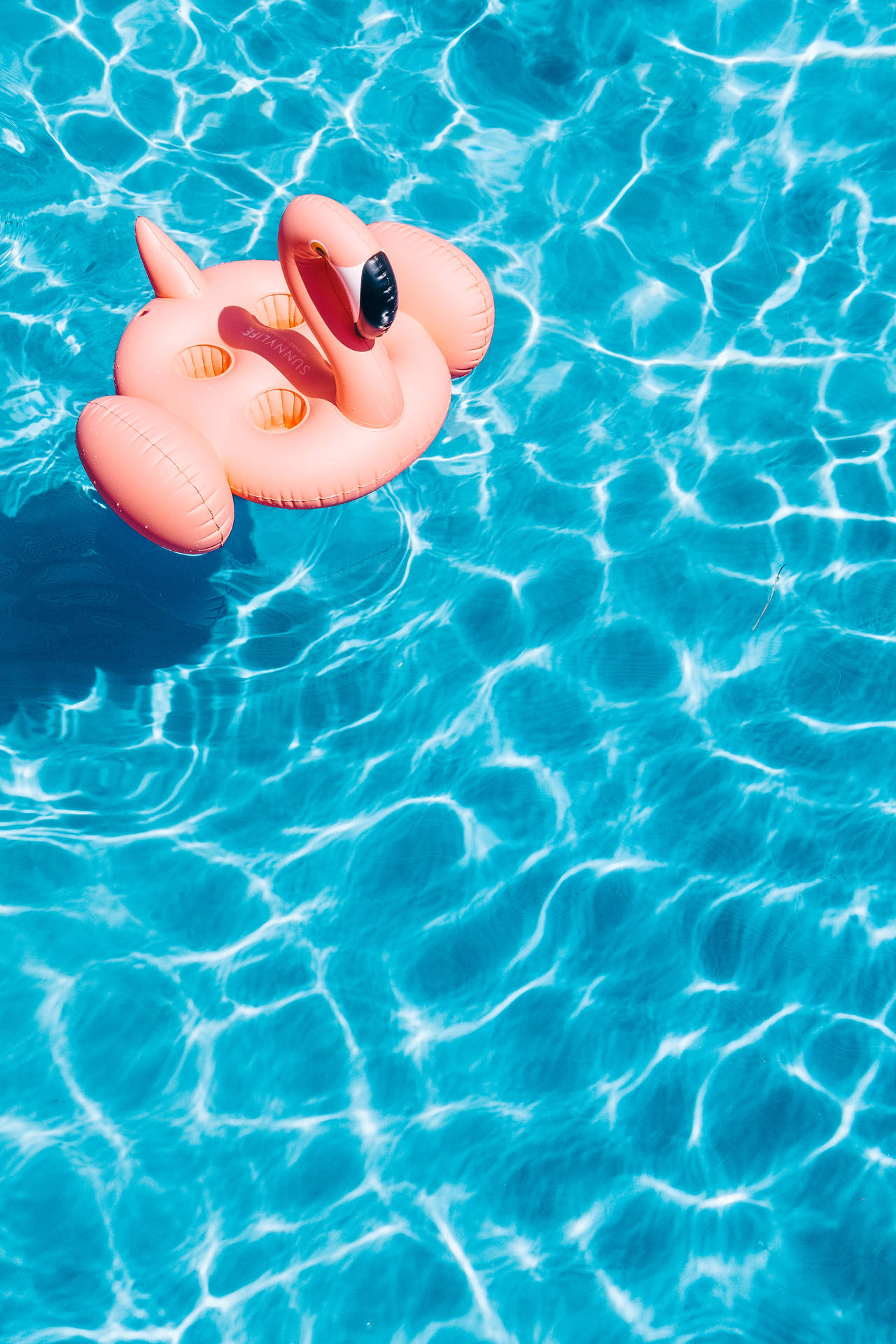 Inflatable Flamingo In A Pool