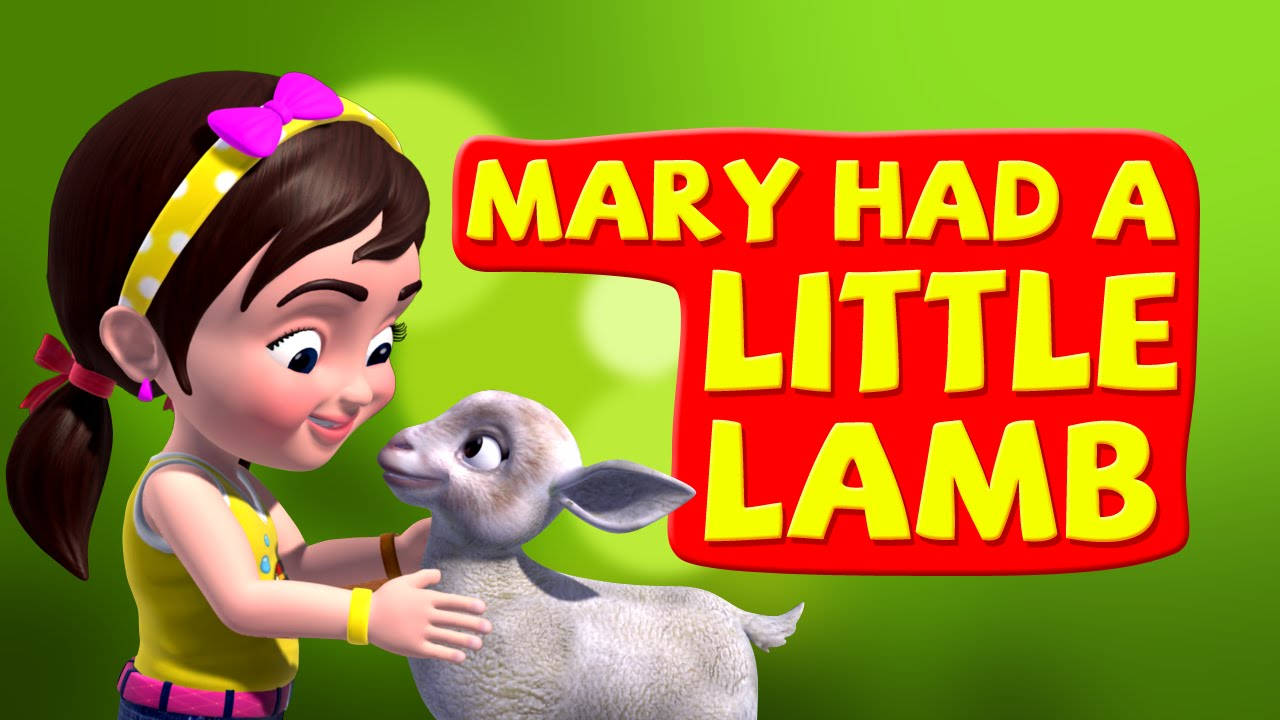 mary had a little lamb cartoon