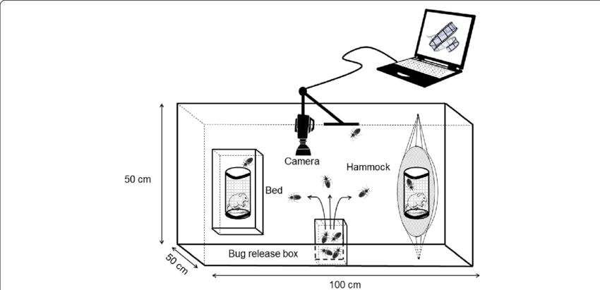 Insect Attraction Experiment Setup PNG