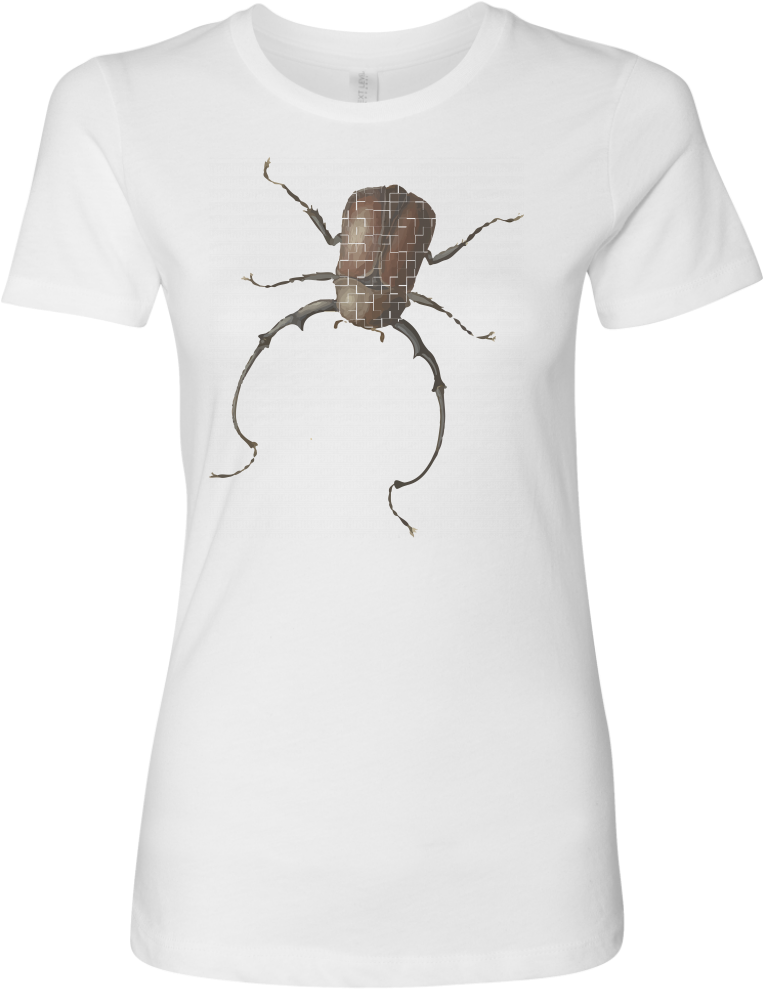 Insect Design White T Shirt PNG