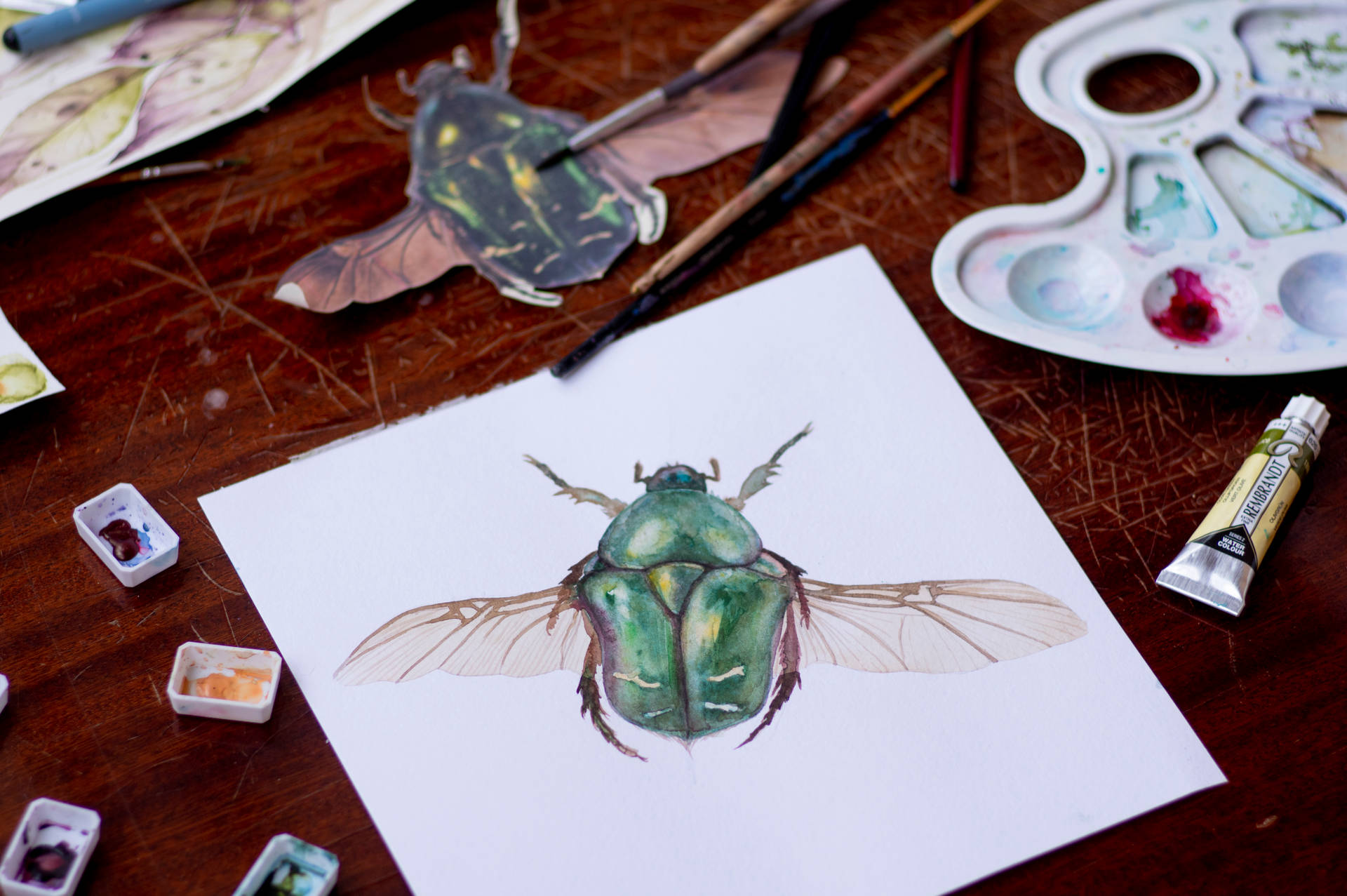 Arterealista De Insectos. Fondo de pantalla