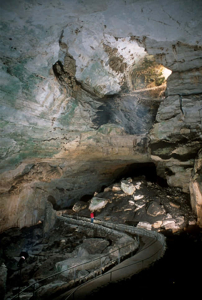 Dentrode La Cueva Del Parque Nacional De Las Cuevas De Carlsbad. Fondo de pantalla