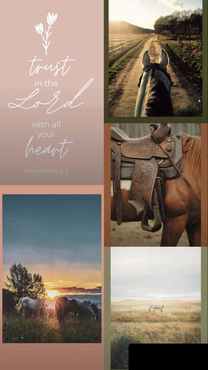 Inspirational_ Horse_ Collage_with_ Proverbs_ Quote.jpg Wallpaper