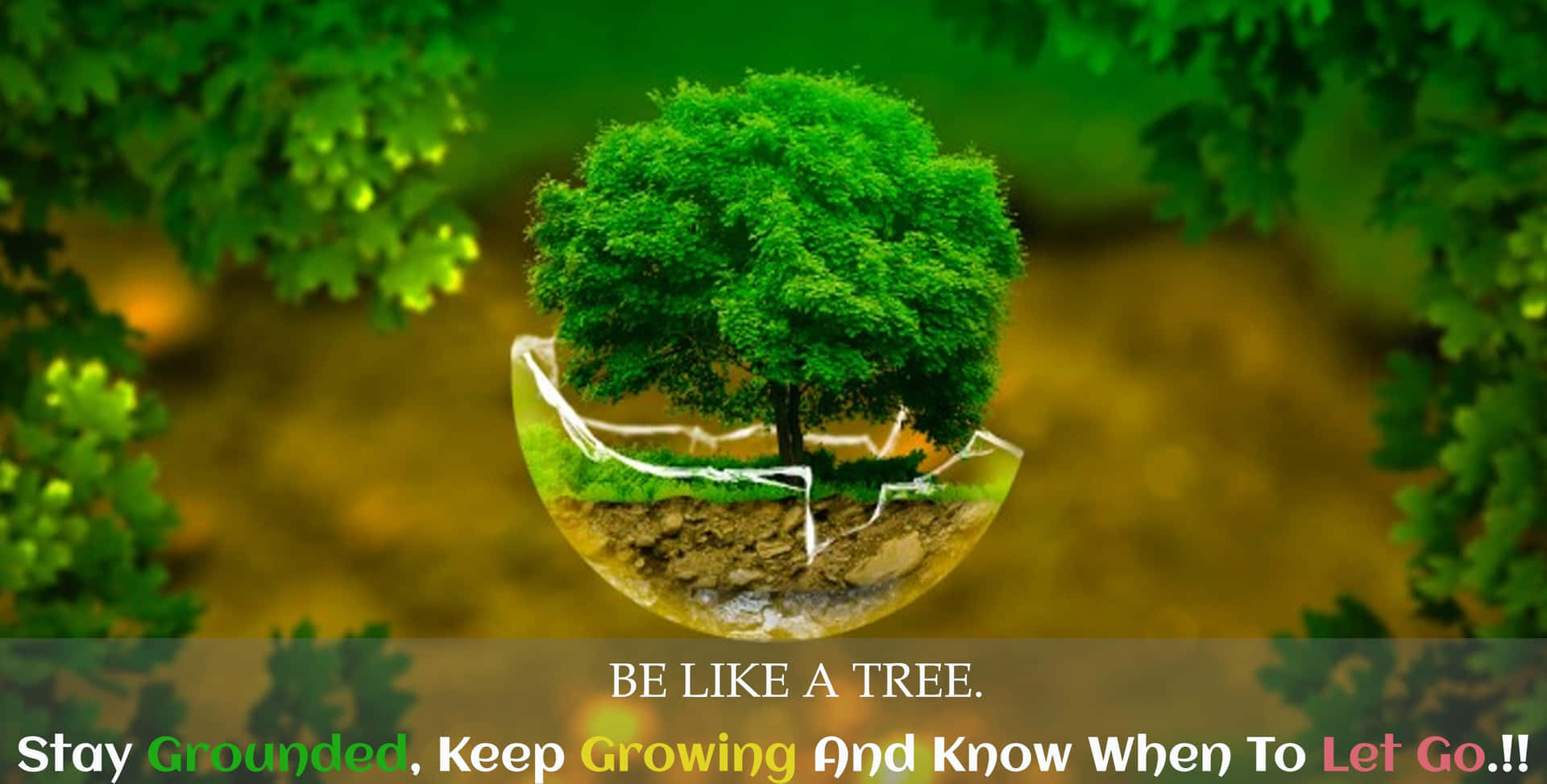 Inspirational Nature Quote Tree Life Lesson Wallpaper