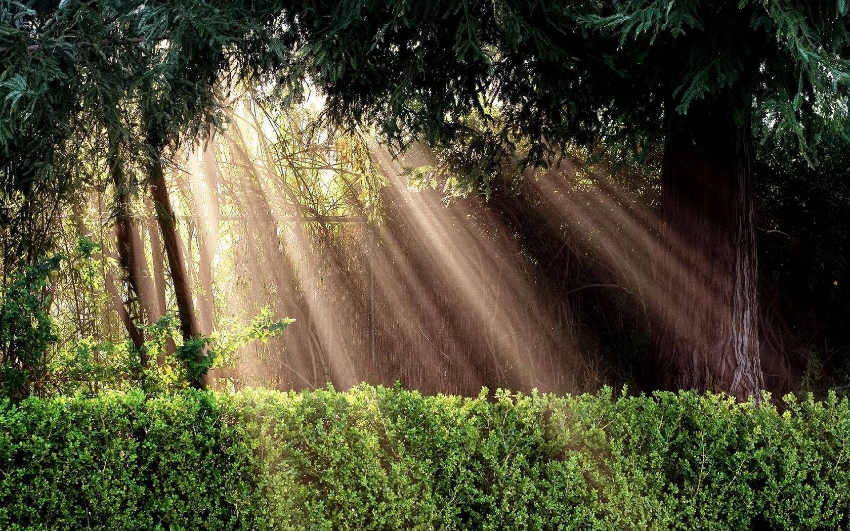 Inspirational Nature Sunlight View Wallpaper