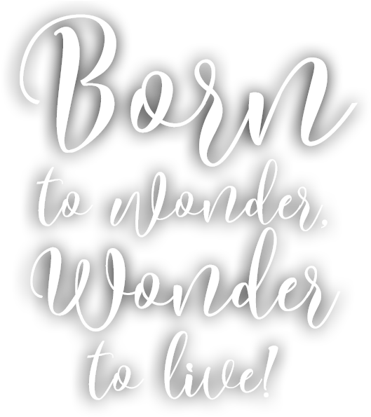 Inspirational Quote Bornto Wonder PNG