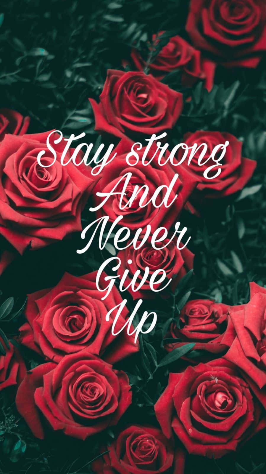 Stay Strong And Never Give Up Wallpaper