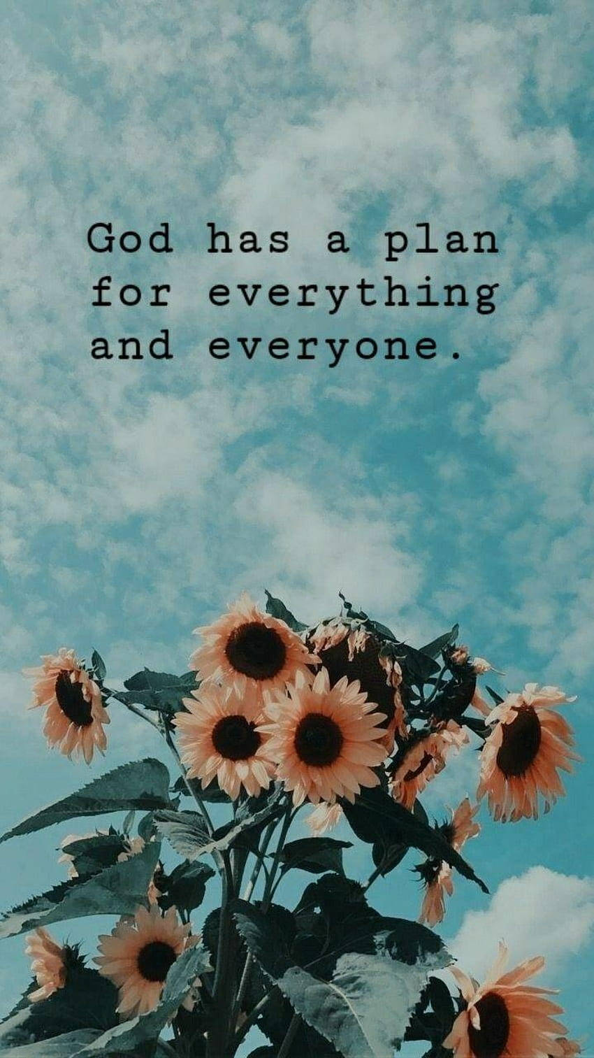 Inspirational Sunflowersand Sky Quote Wallpaper