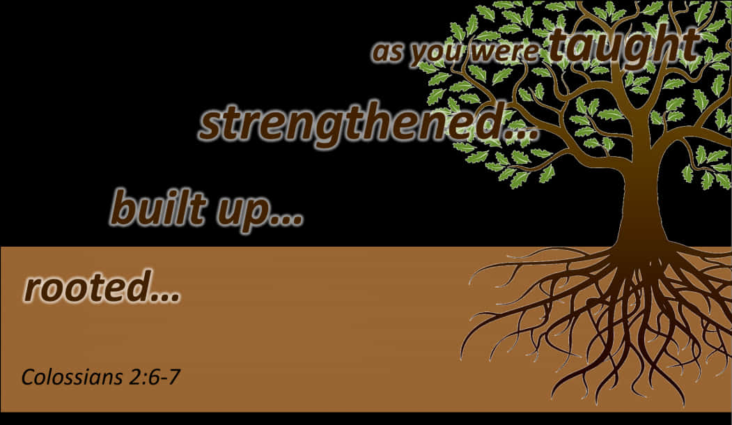 Inspirational Tree Roots Colossians Biblical Verse PNG
