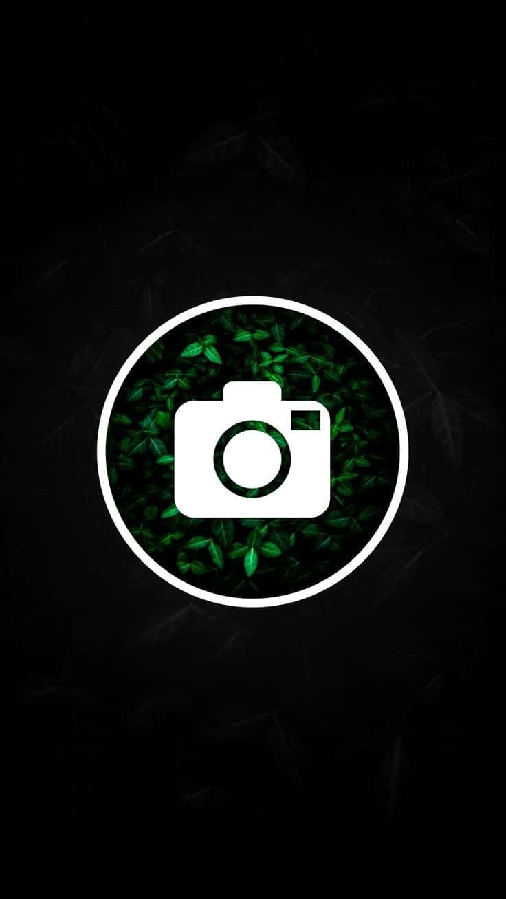 Instagram Green Leaves Highlight Black Background
