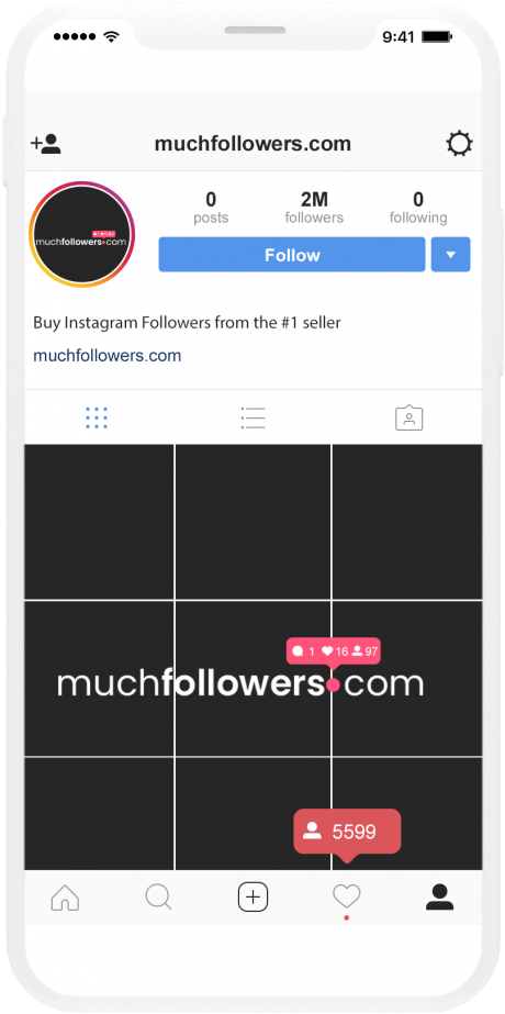 Instagram Followers Sales Pitch Screenshot PNG