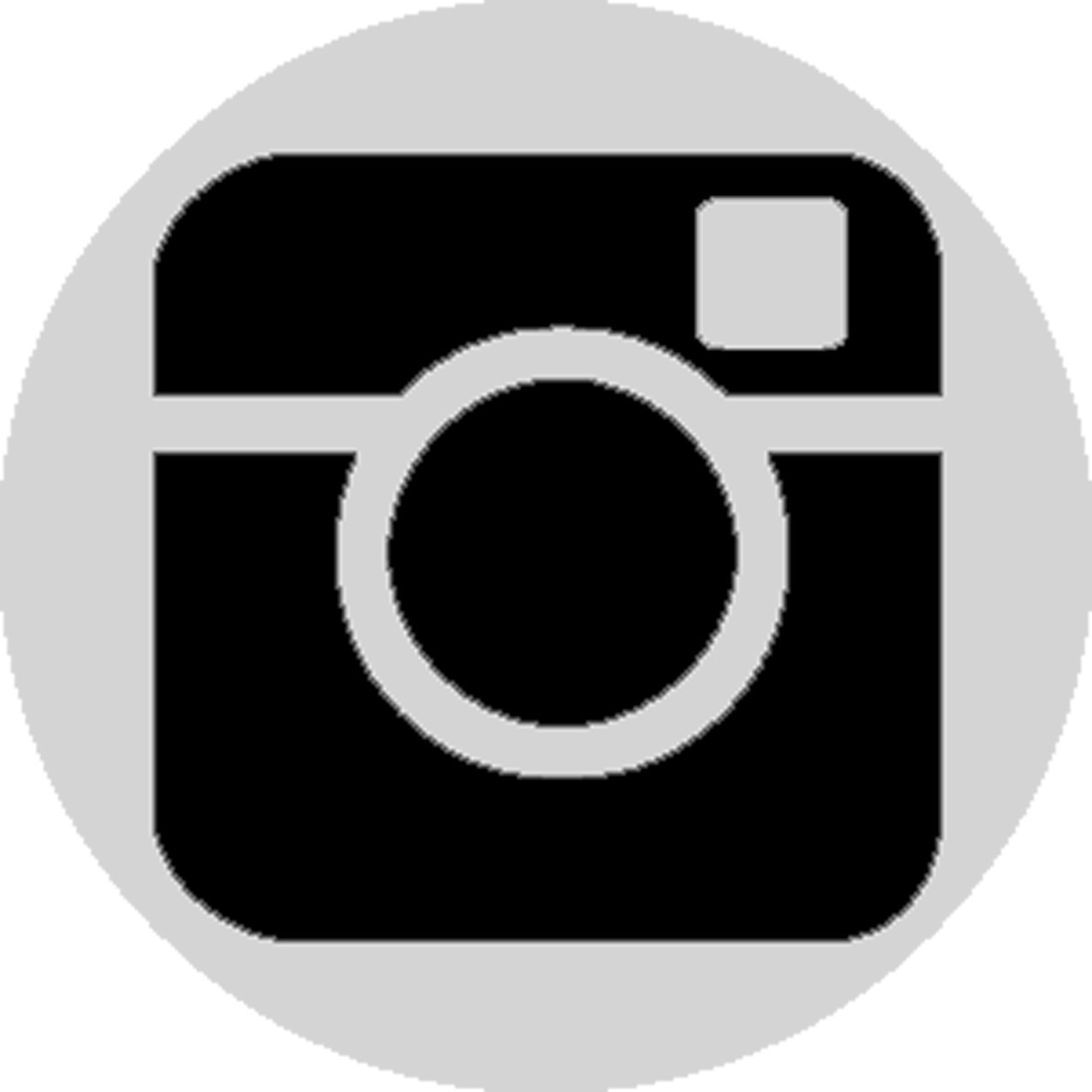 Instagram Logo Icon PNG