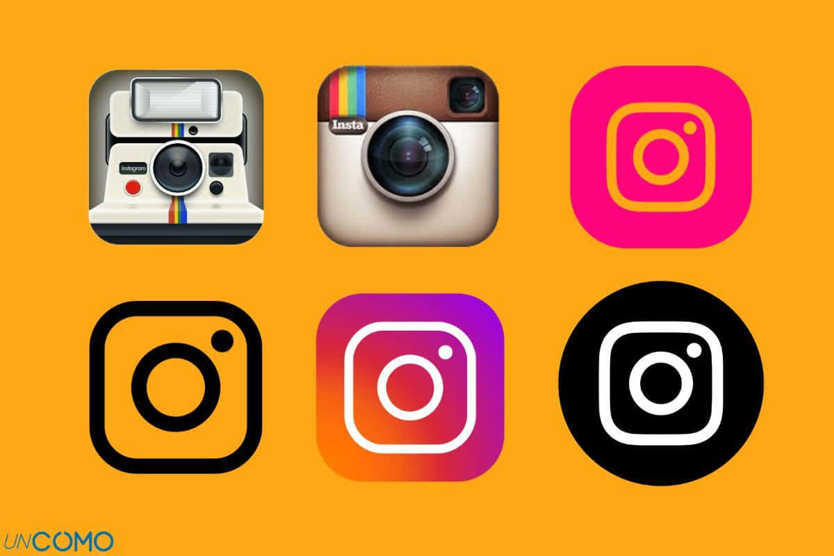 A splash of color in social media - Instagram's iconic logo.