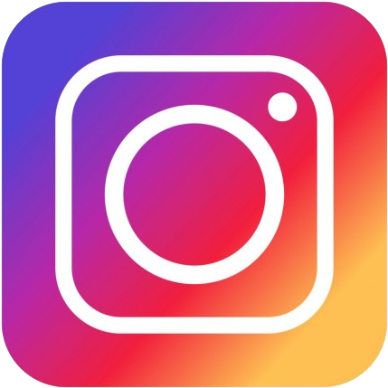 Instagram Logo Vector Icon PNG