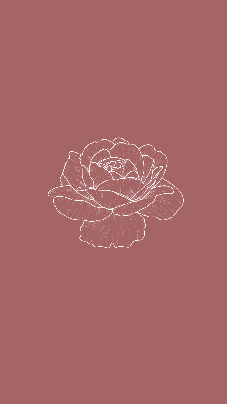 a rose on a red background