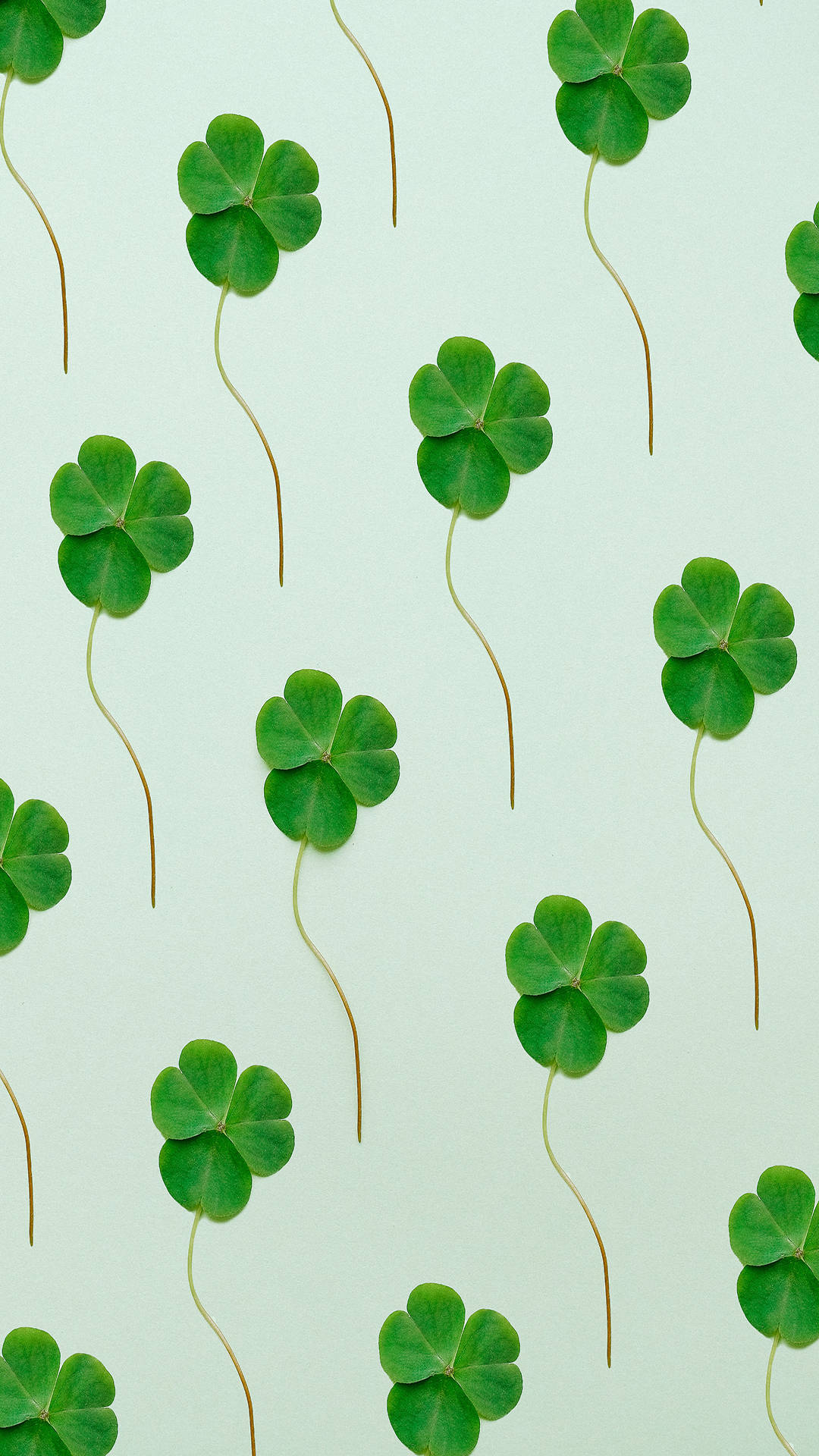 Instagram Story St. Patrick's Day Clover Wallpaper