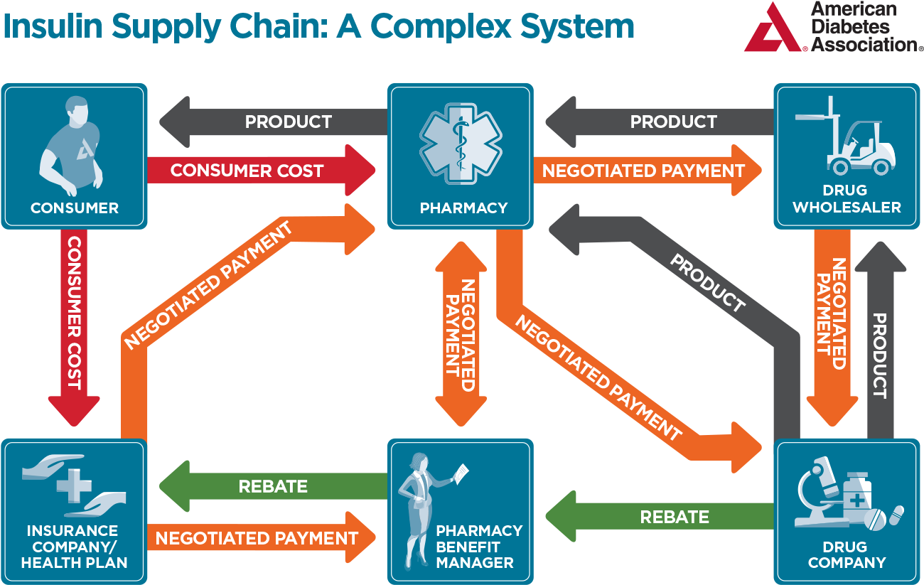 Insulin Supply Chain Complex System PNG