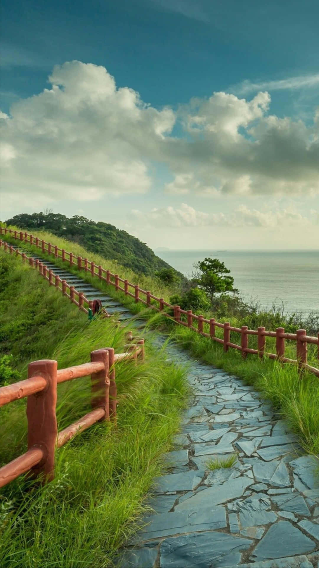 Integral Pathway To Lion Hill Wallpaper