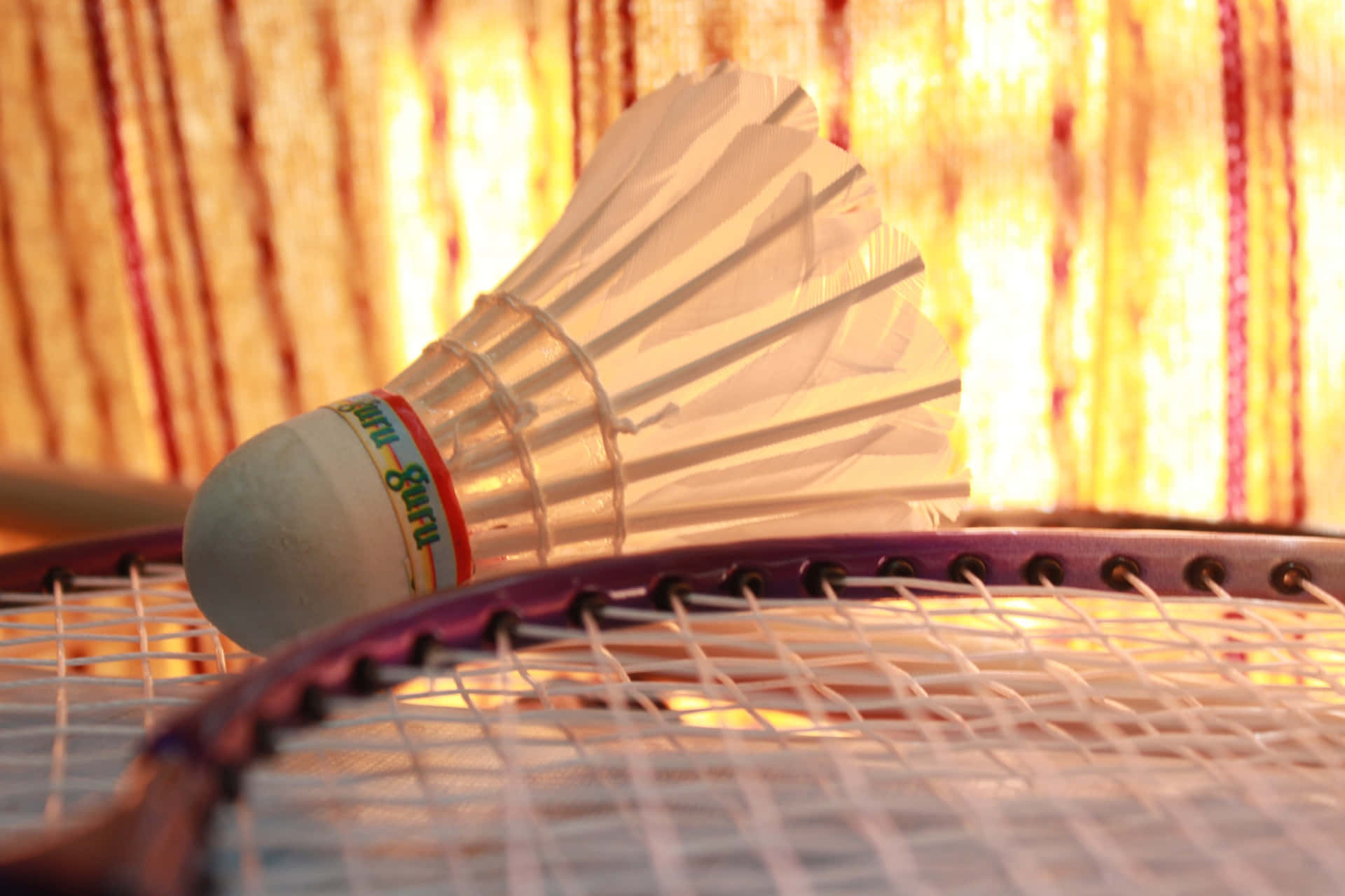 Intensagara Di Badminton In Campo
