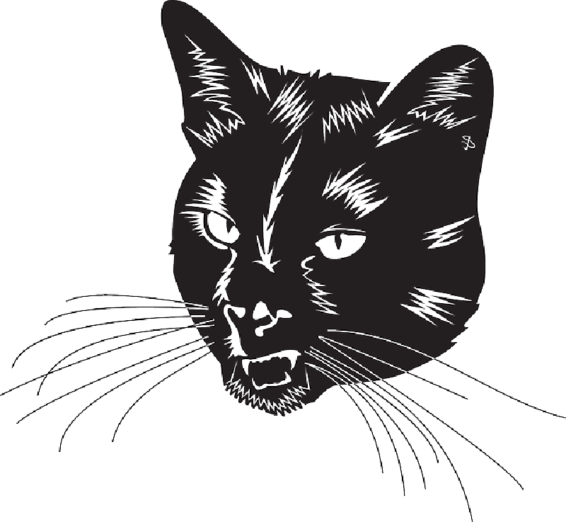 Intense Black Cat Illustration PNG