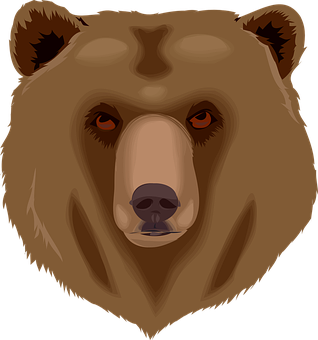 Intense Brown Bear Face Illustration PNG