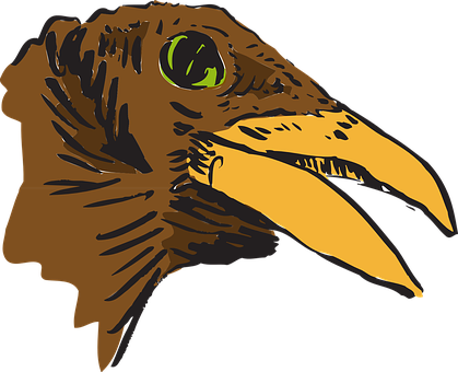 Intense_ Eagle_ Profile_ Vector PNG