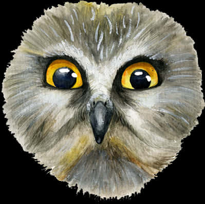 Intense Eyed Owl Watercolor PNG