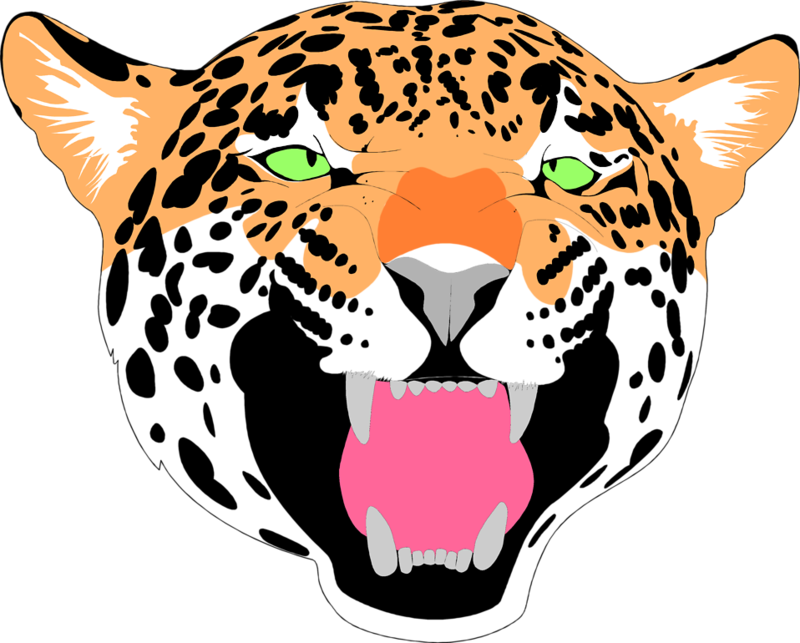 Intense Jaguar Face Illustration PNG