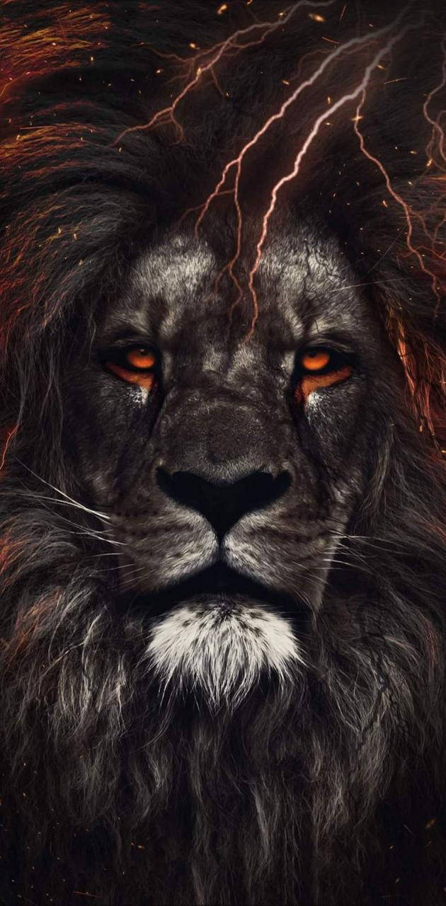 Intense Leo Lion Wallpaper