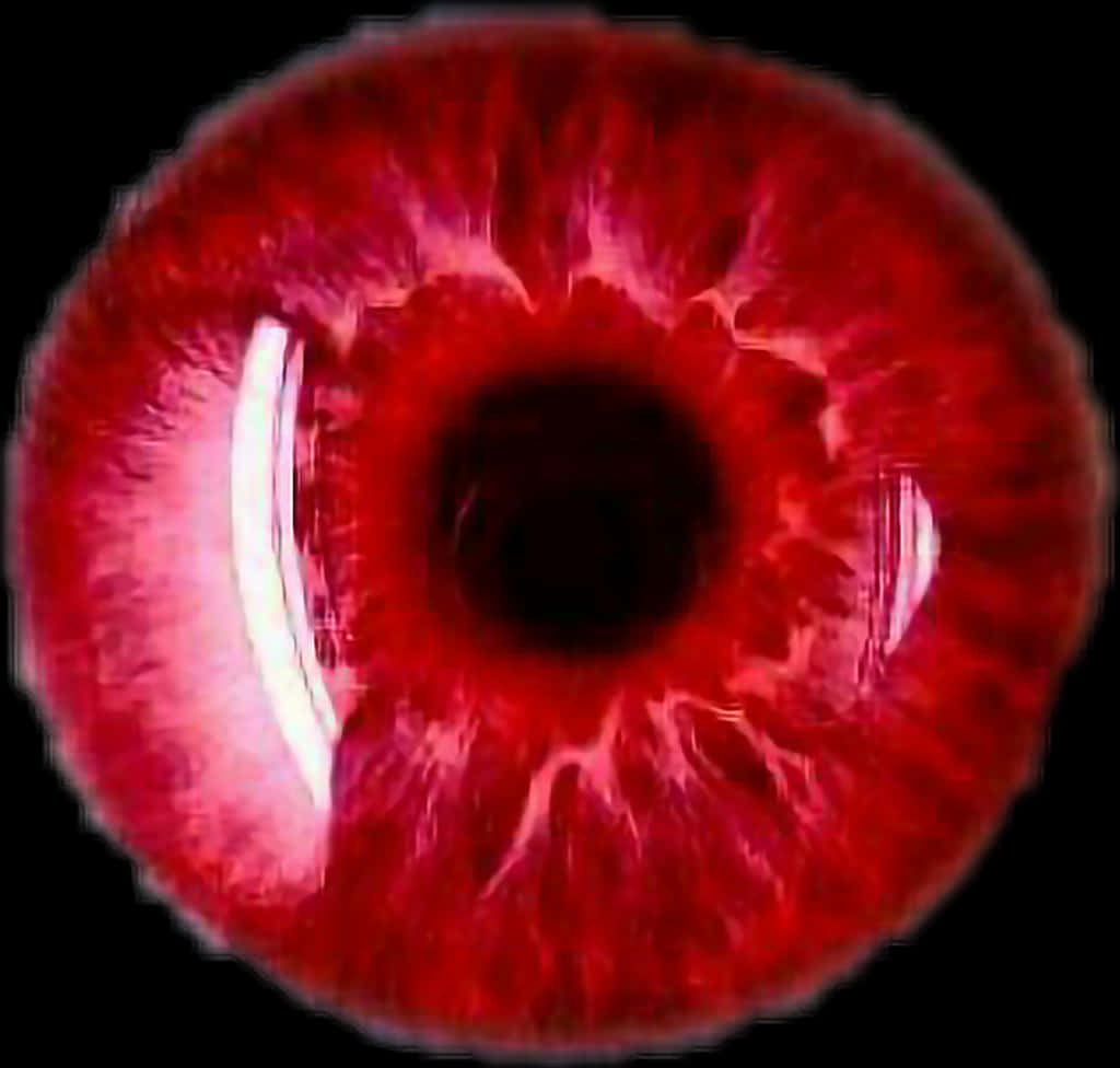 Intense Red Eye Closeup.jpg PNG