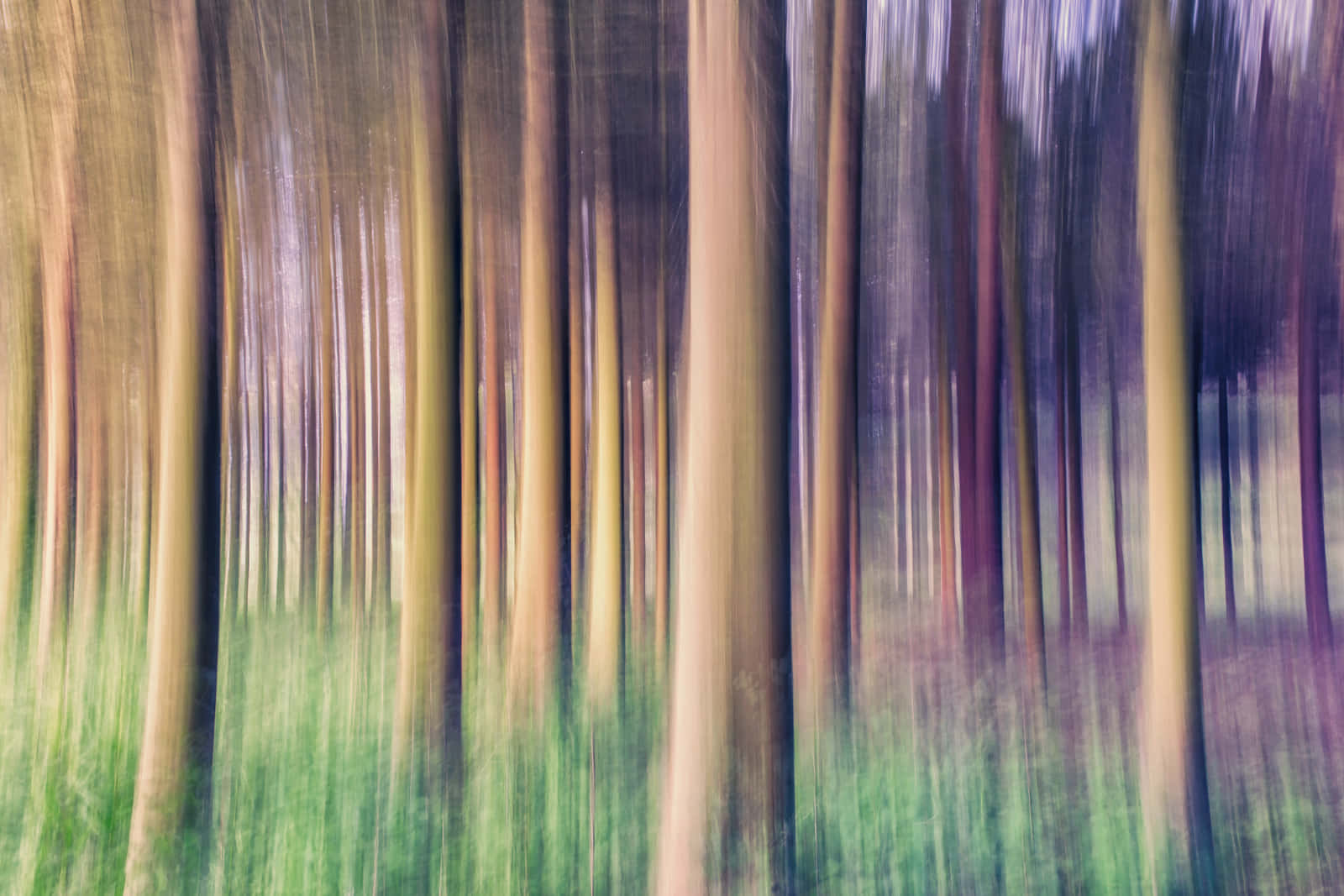 Intentionally Abstract Forest Wallpaper