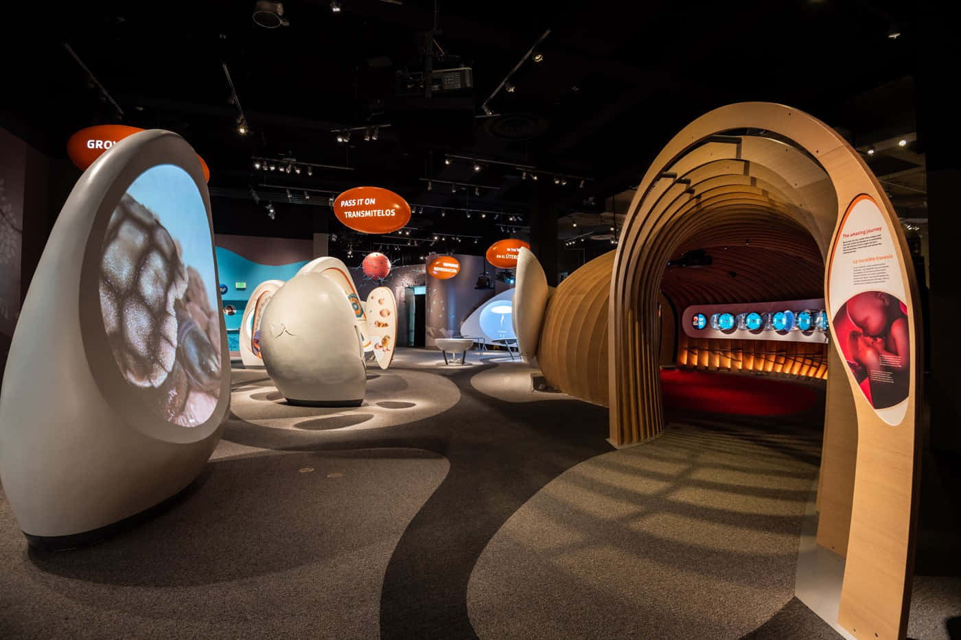 Interactieve Tentoonstelling California Science Center Achtergrond