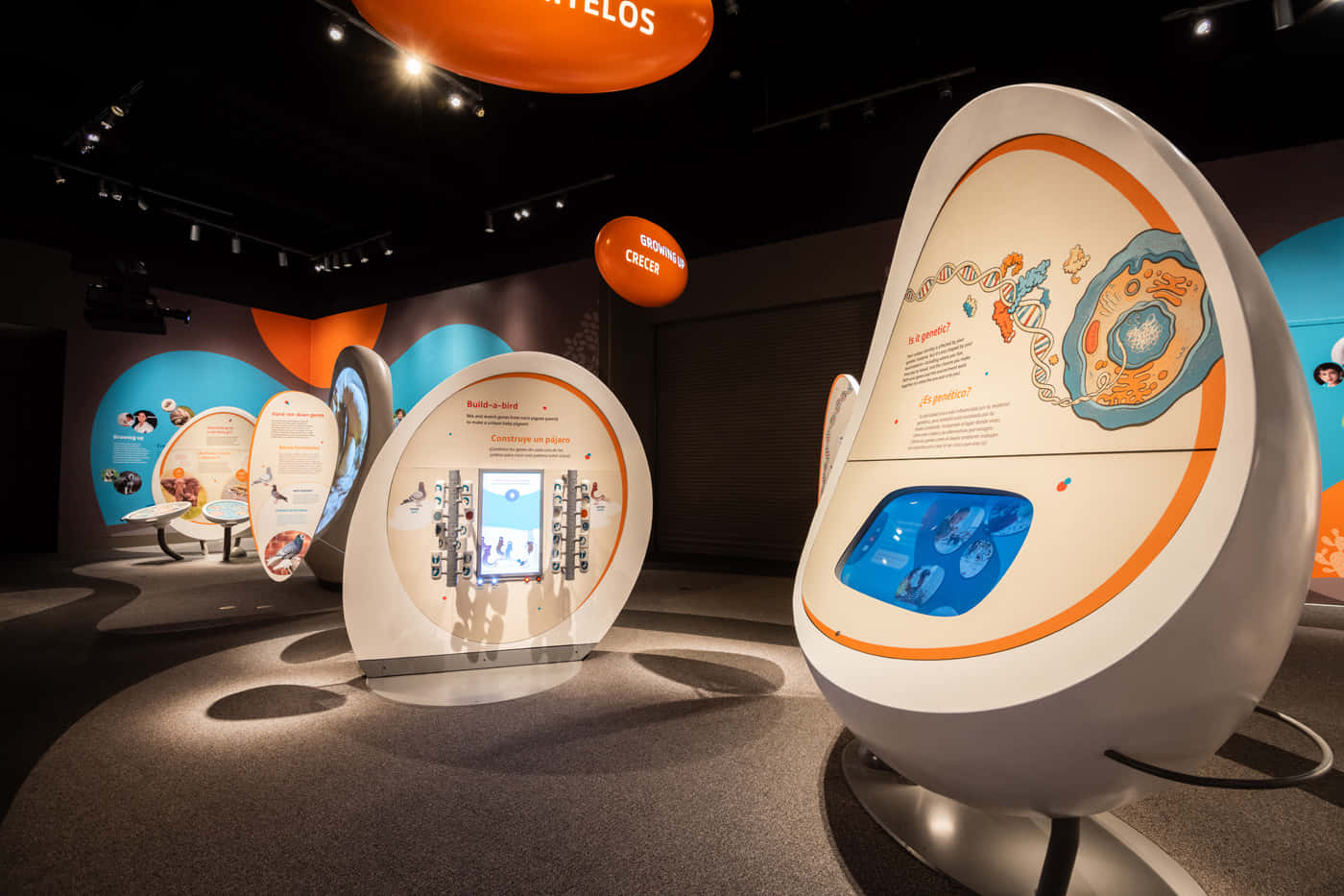 Interactieve Tentoonstellingen California Science Center Achtergrond